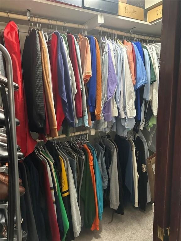 spacious closet with carpet flooring