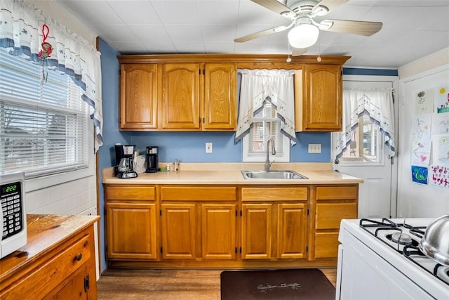 kitchen featuring white appliances, brown cabinetry, ceiling fan, a sink, and light countertops