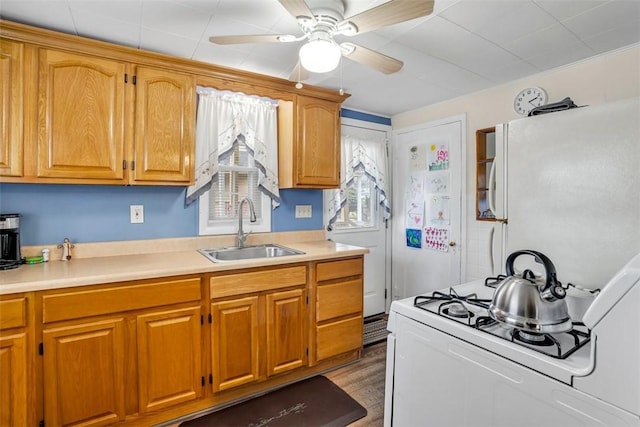 kitchen with white appliances, wood finished floors, ceiling fan, a sink, and light countertops