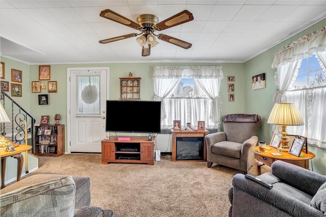 living area with carpet, ornamental molding, a ceiling fan, and radiator heating unit