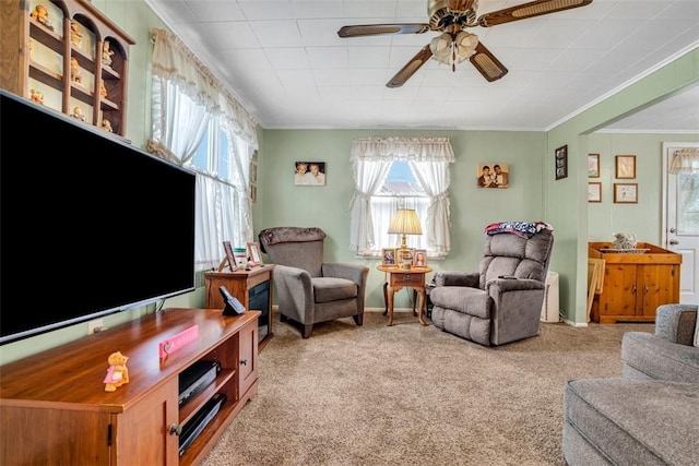 living area featuring carpet floors, ceiling fan, and crown molding