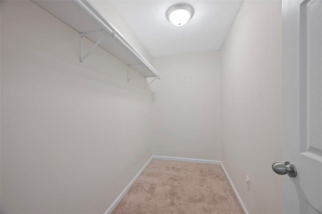 spacious closet featuring carpet floors