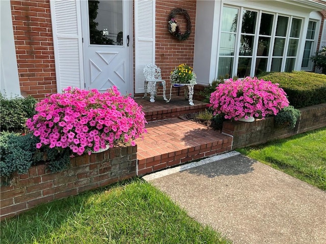 entrance to property with brick siding and a porch