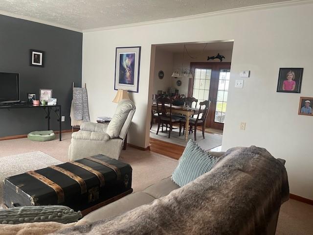 carpeted living area featuring baseboards, a textured ceiling, and crown molding