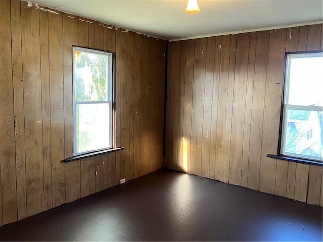 spare room with wooden walls and a healthy amount of sunlight