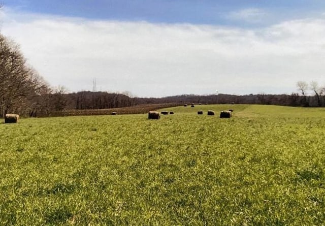 view of yard featuring a rural view