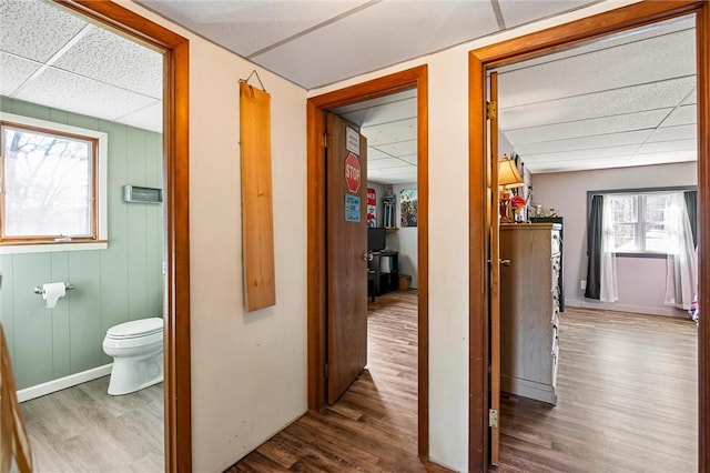 hall featuring a paneled ceiling, baseboards, and wood finished floors