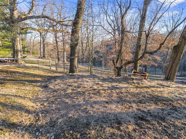 view of yard featuring fence