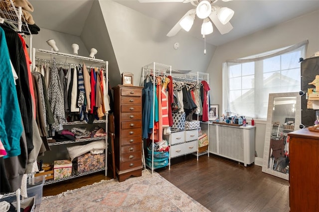 walk in closet featuring ceiling fan, radiator, lofted ceiling, and wood finished floors