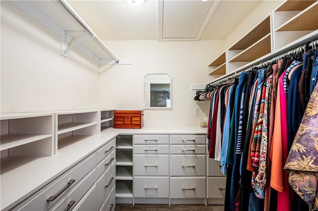 view of spacious closet