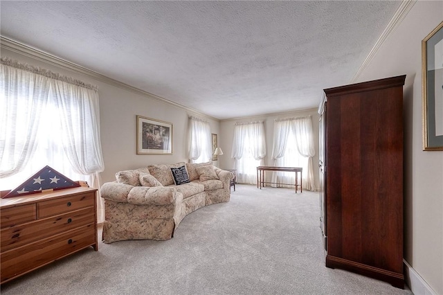 carpeted living area with a textured ceiling and ornamental molding