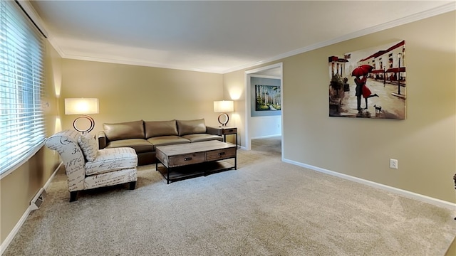 living area with a wealth of natural light, crown molding, baseboards, and carpet floors