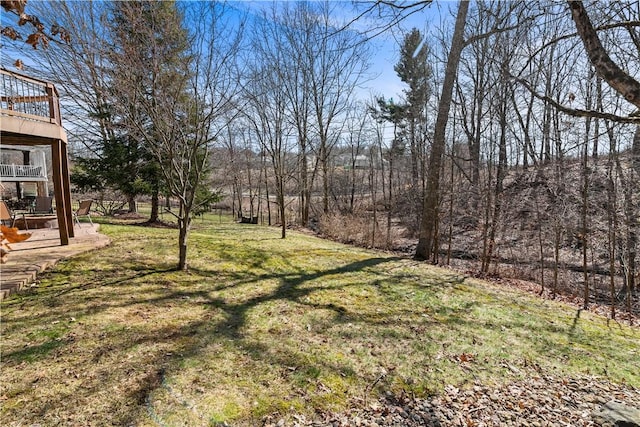 view of yard featuring a patio