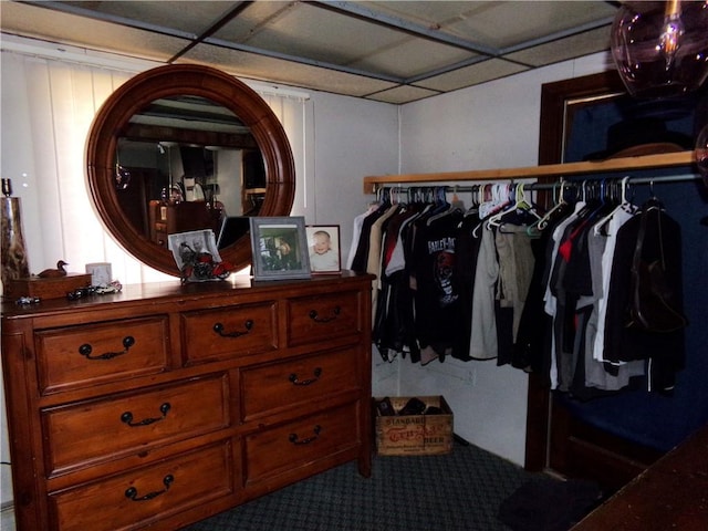 spacious closet with carpet flooring and a paneled ceiling