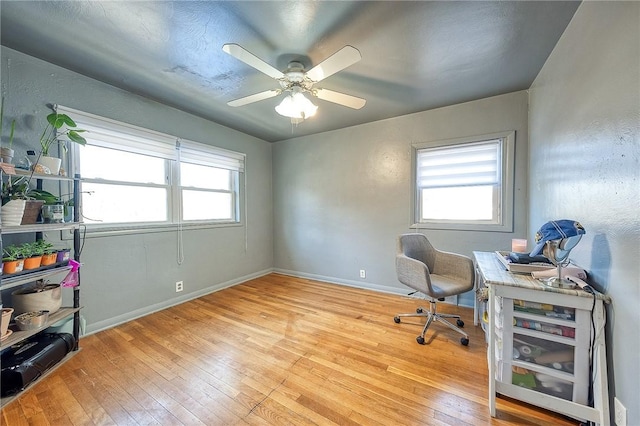 home office with hardwood / wood-style flooring, plenty of natural light, a ceiling fan, and baseboards