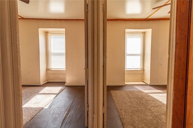 hall with wood finished floors, baseboards, wood walls, and ornamental molding