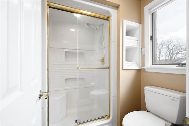 bathroom with toilet and a stall shower