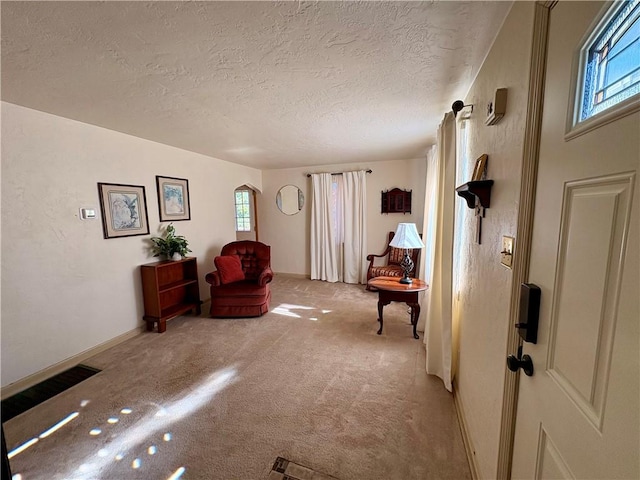 sitting room featuring light colored carpet, a textured ceiling, and baseboards