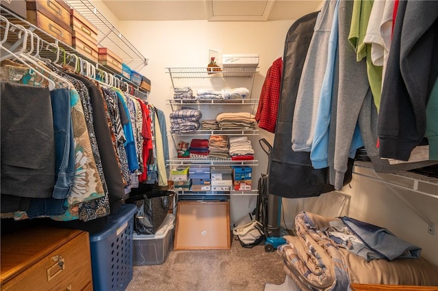 spacious closet featuring attic access and carpet floors