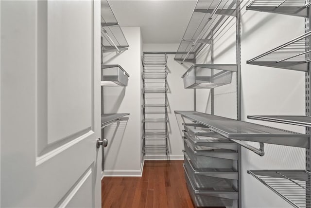 spacious closet featuring dark wood-style floors