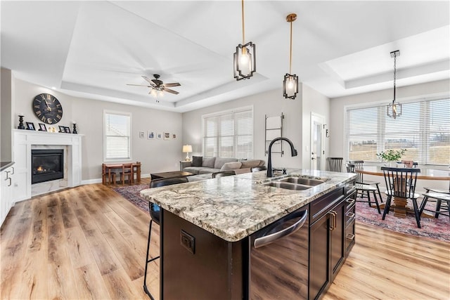 kitchen with a sink, light wood-type flooring, a raised ceiling, and stainless steel dishwasher