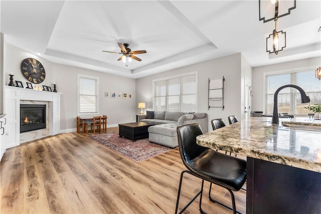 living area featuring a raised ceiling, a ceiling fan, light wood finished floors, and a premium fireplace