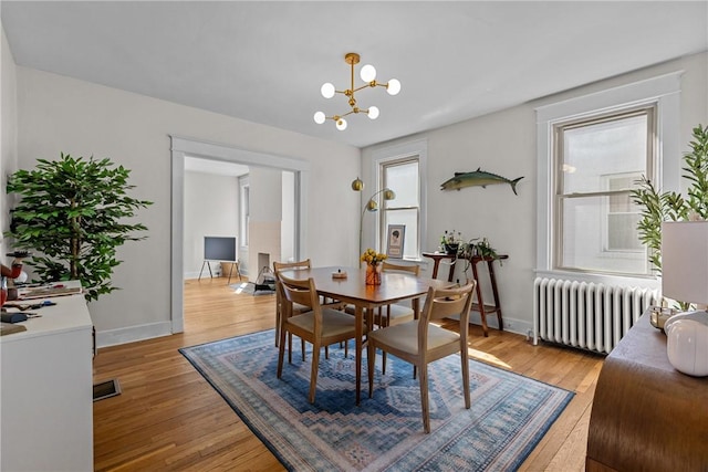 dining room with a wealth of natural light, radiator, and light wood finished floors