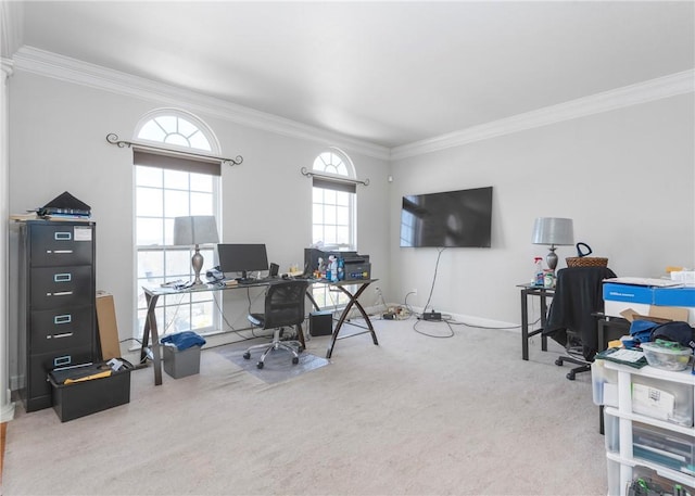 carpeted home office with baseboards and ornamental molding