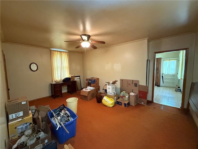 miscellaneous room featuring crown molding, carpet, and ceiling fan