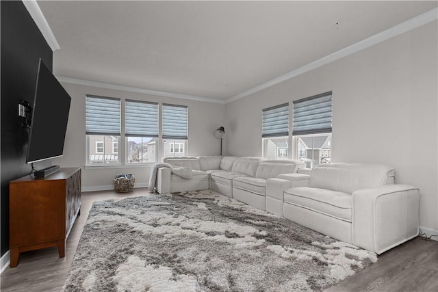 living room featuring crown molding, baseboards, and wood finished floors