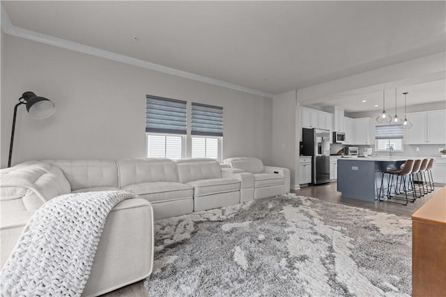 living area featuring a wealth of natural light, dark wood finished floors, and ornamental molding