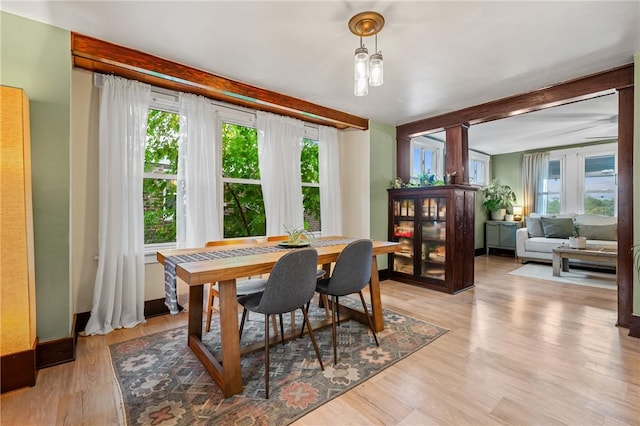 dining area featuring a healthy amount of sunlight and light wood finished floors