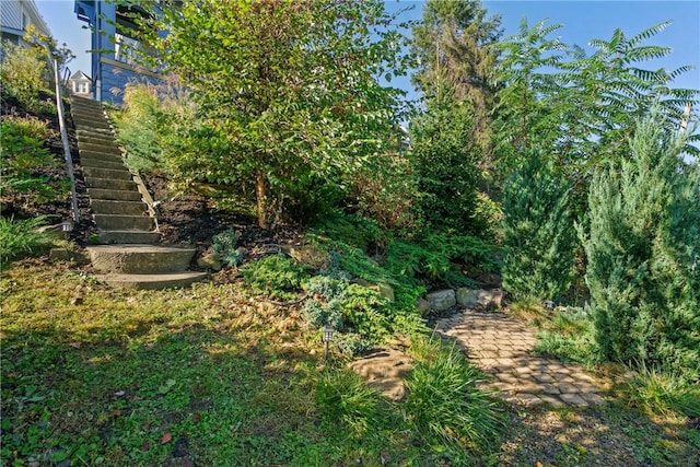 view of yard with stairs