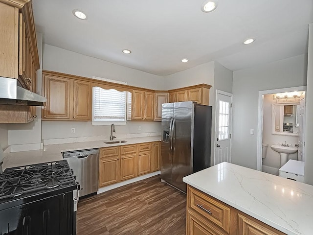 kitchen featuring a sink, stainless steel appliances, dark wood-type flooring, and a wealth of natural light