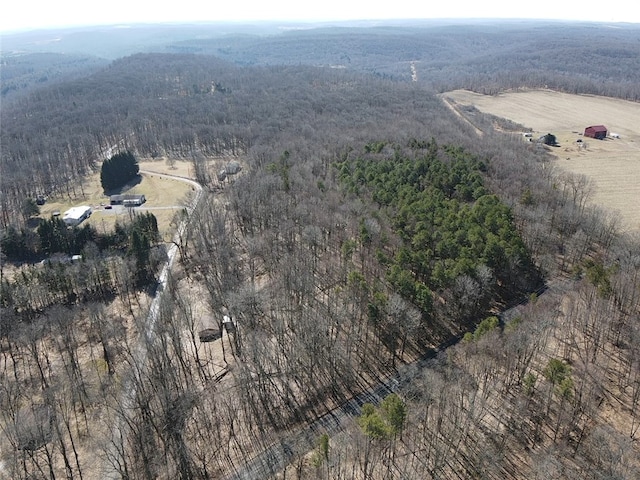 drone / aerial view with a rural view and a forest view