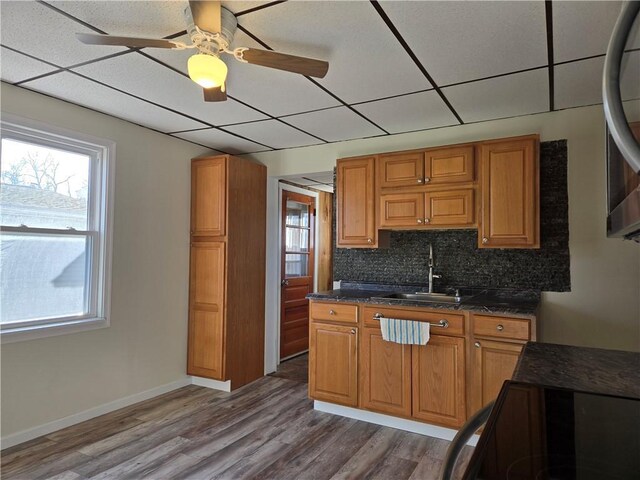 kitchen with a sink, plenty of natural light, tasteful backsplash, and wood finished floors