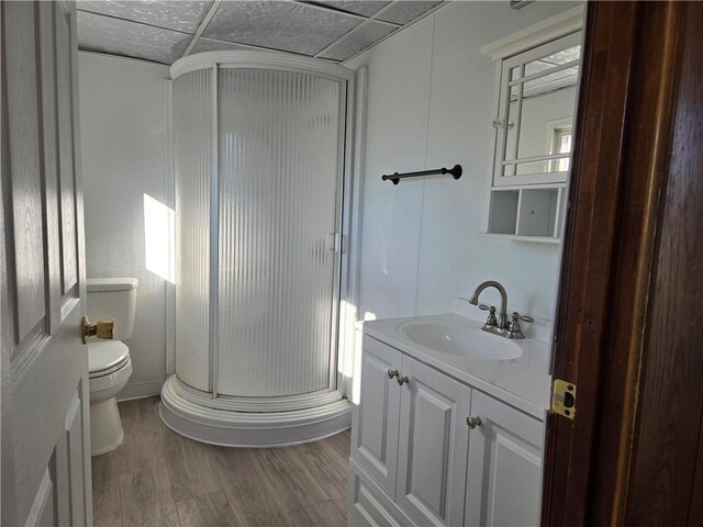 bathroom featuring a stall shower, toilet, vanity, and wood finished floors