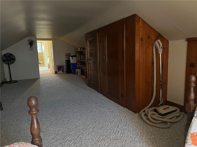407 Cathedral St, Conemaugh/Young Twps Ind, PA 15681 - additional living space with carpet floors and vaulted ceiling