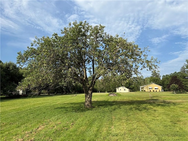 407 Cathedral St, Conemaugh/Young Twps Ind, PA 15681 - view of green lawn