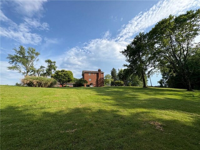 407 Cathedral St, Conemaugh/Young Twps Ind, PA 15681 - view of green lawn