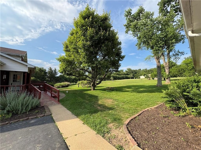 407 Cathedral St, Conemaugh/Young Twps Ind, PA 15681 - view of grassy yard