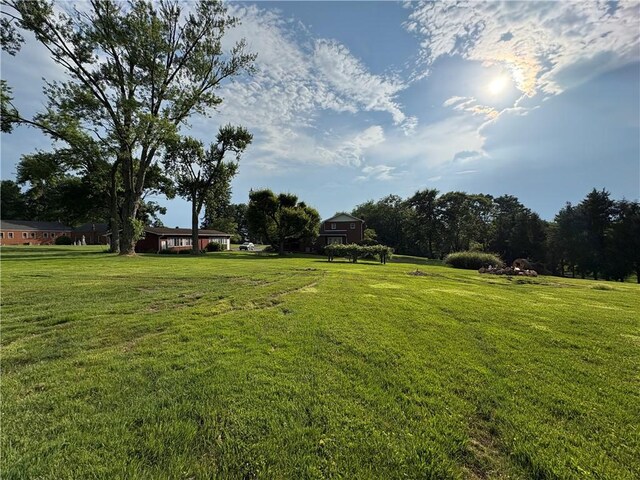 407 Cathedral St, Conemaugh/Young Twps Ind, PA 15681 - view of green lawn