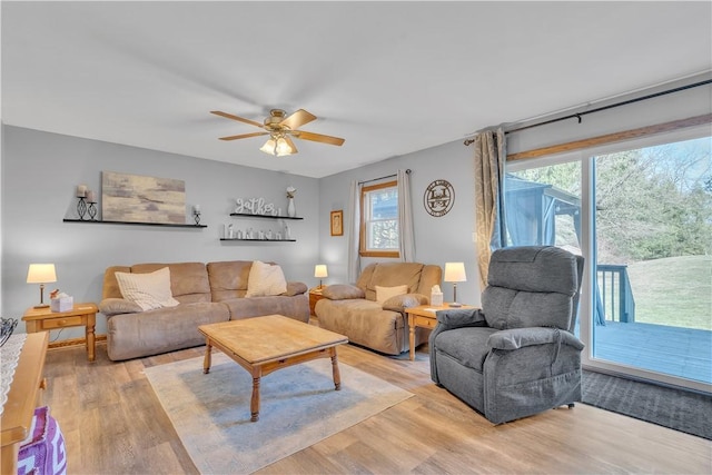 living area with plenty of natural light, ceiling fan, and light wood-style floors