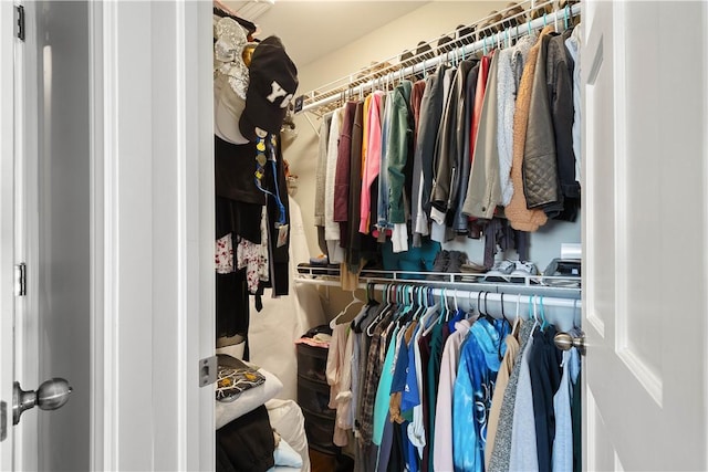 view of spacious closet