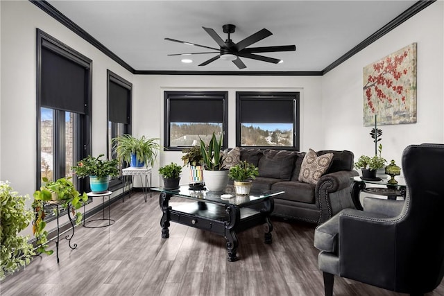 living area featuring ceiling fan, wood finished floors, and crown molding