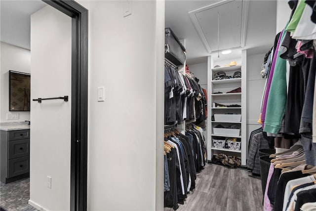 walk in closet with attic access and wood finished floors