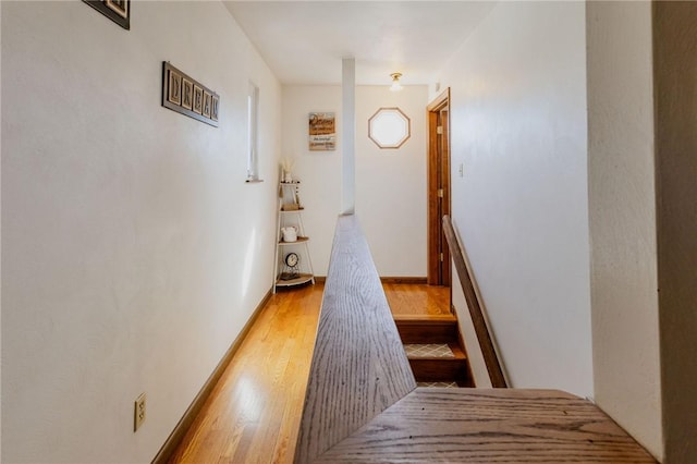 hallway with light wood finished floors