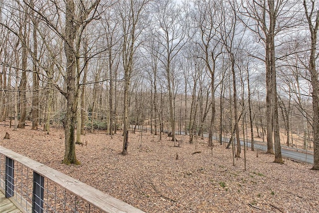 240 Birch Rd, Bullskin Twp, PA 15610 - view of yard