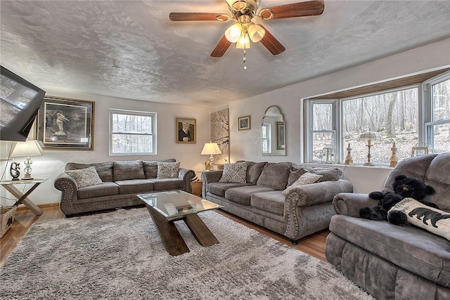 living area with a textured ceiling, ceiling fan, and wood finished floors