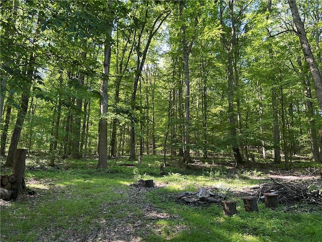 240 Birch Rd, Bullskin Twp, PA 15610 - view of tree filled area